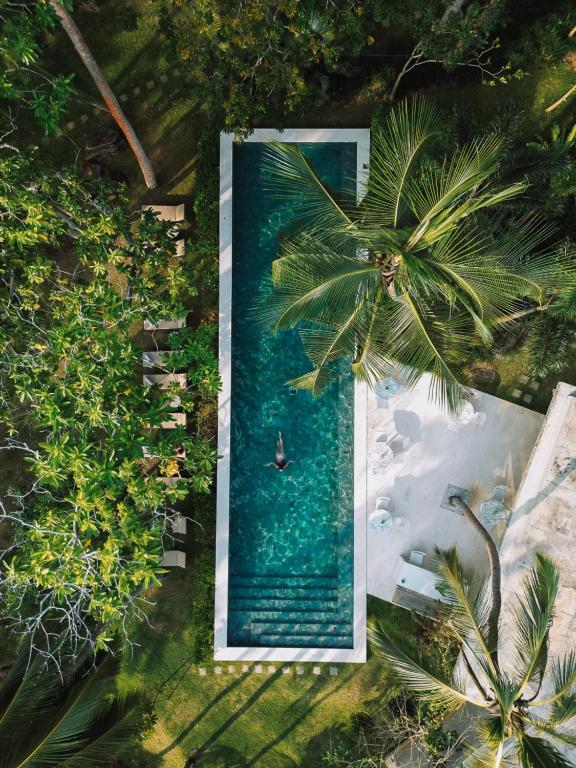 an overhead view of a pool with a palm tree at Kurulu Bay in Ahangama