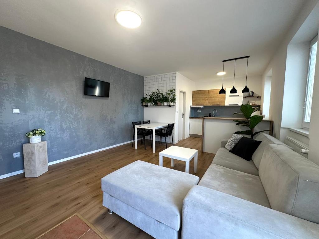 Η κουζίνα ή μικρή κουζίνα στο Apartmán Zamarovce