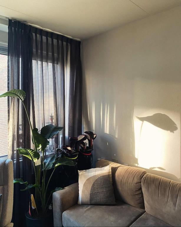 a living room with a couch and a plant at The Scheveningse Meisjes in Scheveningen