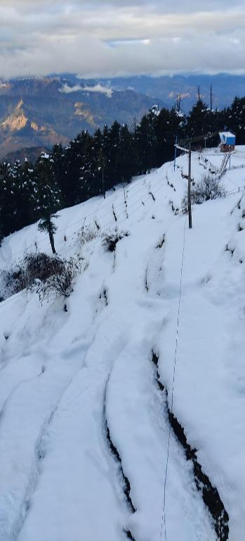 a snow covered field with some plants in it at Smart Hotels in Dalhousie
