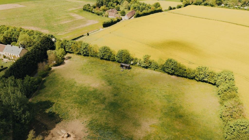 einen Blick über ein großes Feld mit Bäumen in der Unterkunft Parcel Tiny House I Elevage du Puits Carré in Dame-Marie