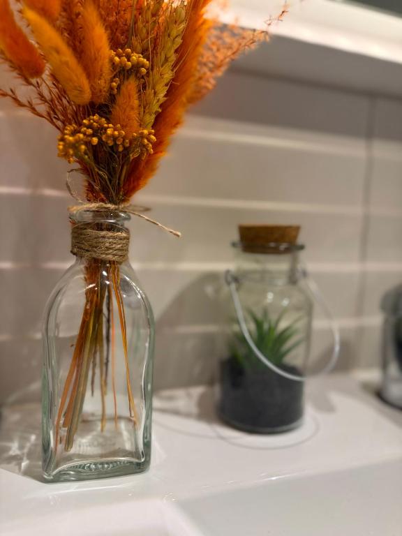 Studio Design à Mulhouse – photo 15