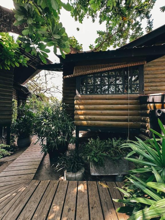 a wooden deck with a bench and some plants at The Tree Cabins Quinta Pavo Real by AcoModo in San José