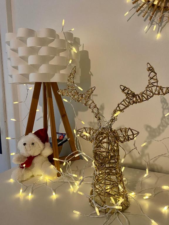 Belle Chambre Privée - Salle de bain - Jardin - Wifi - Cuisine partagée - - 14