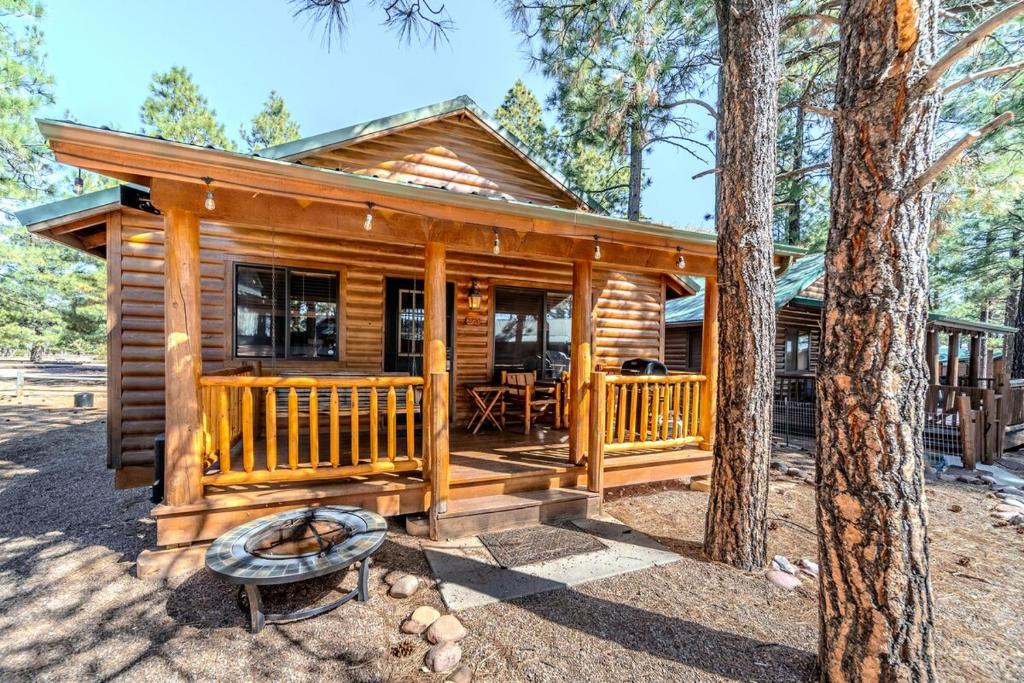 a cabin in the woods with a porch and trees at Cozy Cabin in Bison Ranch in Overgaard