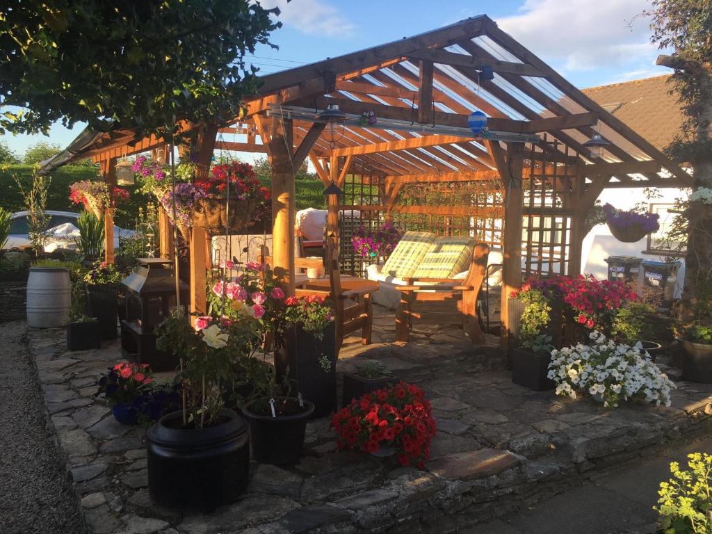 a wooden pergola with flowers in a garden at Haralyn in Bunclody