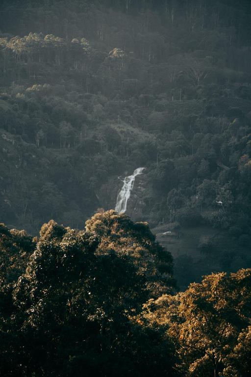 Golden View Guest Ella - 18