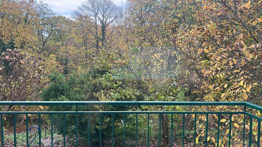 een groen hek voor een groepje bomen bij CASA D'IRENE Havre de paix cosy romantique proche des châteaux de la Loire et a proximité du Parc de Beauval in Mareuil-sur-Cher