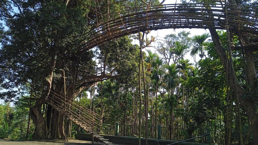 Zahrada ubytování Sylvan homestay