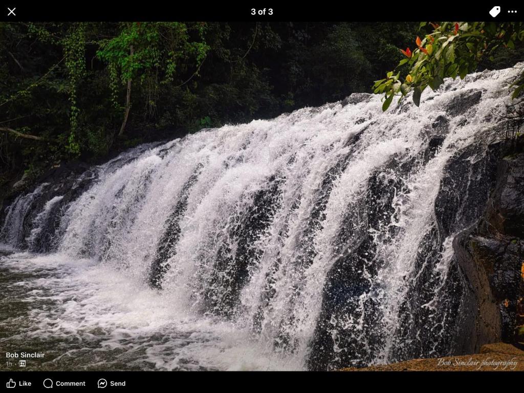 einem Wasserfall in der Mitte eines Flusses in der Unterkunft Malanda Falls Retreat in Malanda