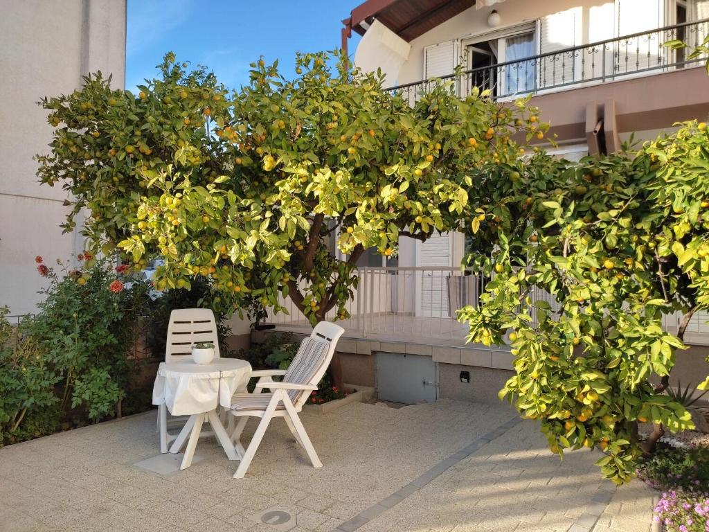 due sedie e un tavolo sotto un albero di arancio di Apartments Neve a Grebaštica
