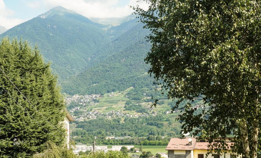 een uitzicht op een vallei met bergen in de verte bij Il cuore della valtellina in Caiolo