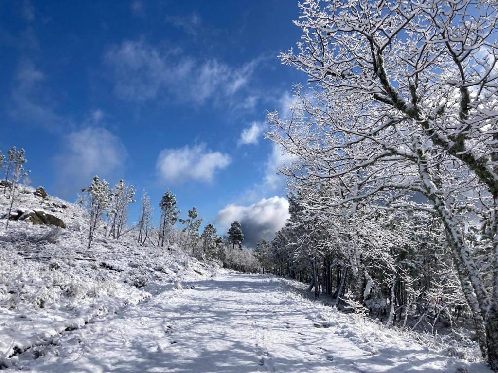 een besneeuwd pad met bomen op een heuvel bij Melro-d' água in Manteigas