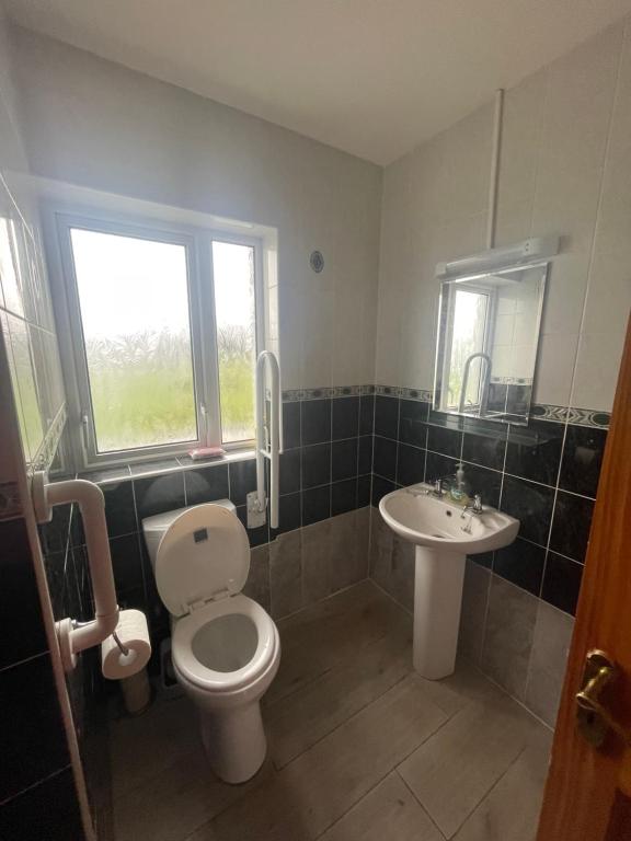 um banheiro com vaso sanitário e pia em Sonnys Rest em Ardara