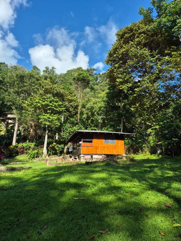 Příroda nedaleko apartmánu