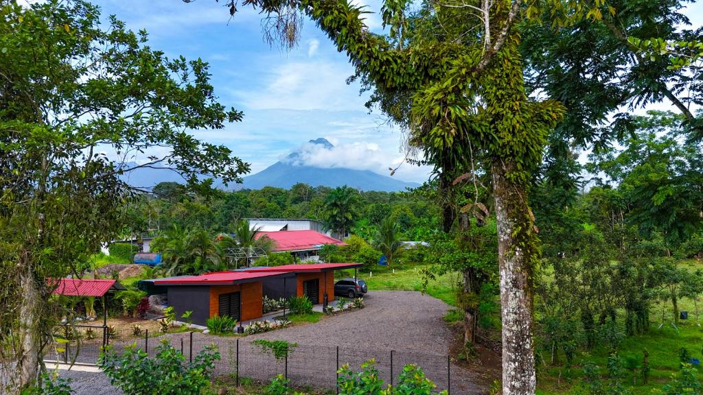 Příroda nedaleko apartmánu