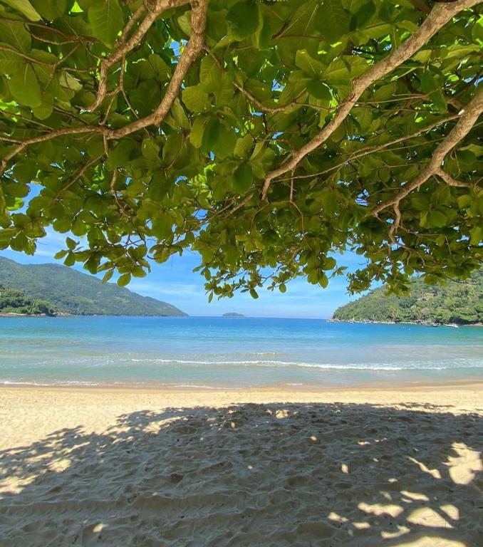 a view of the beach from under a tree at casa da Cilene in Ilha Grande