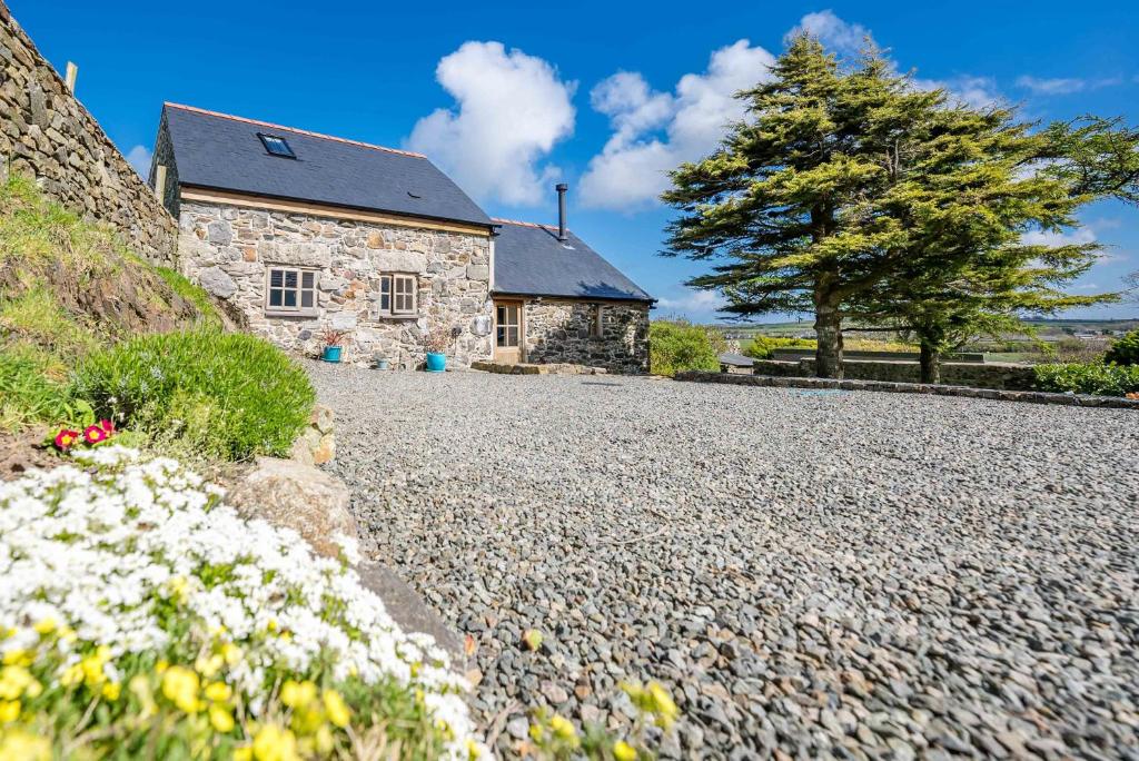 a stone house with a tree and a gravel driveway at Bwthyn-Cerrig in Llanerchymedd