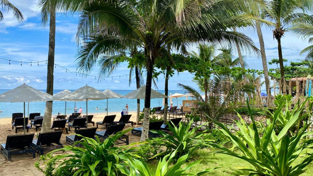 Příroda nedaleko hotelu