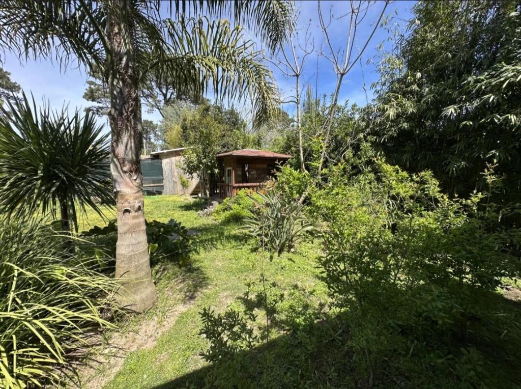 Κήπος έξω από το Comfortable house with a large garden