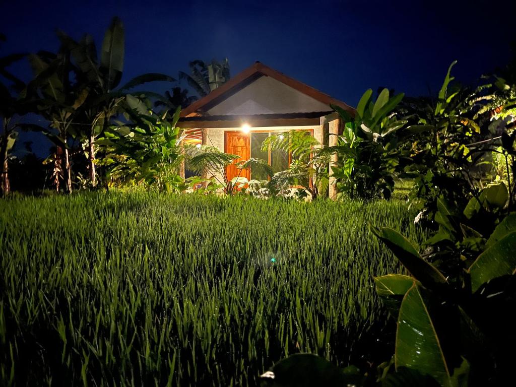 a house in the middle of a field of grass at Opik Homestay Tete Batu in Tetebatu