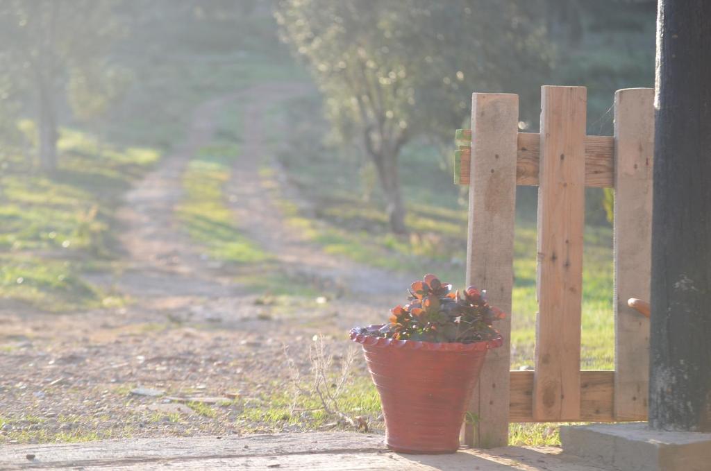 Een tuin van Ferma Jebala Ecolodge