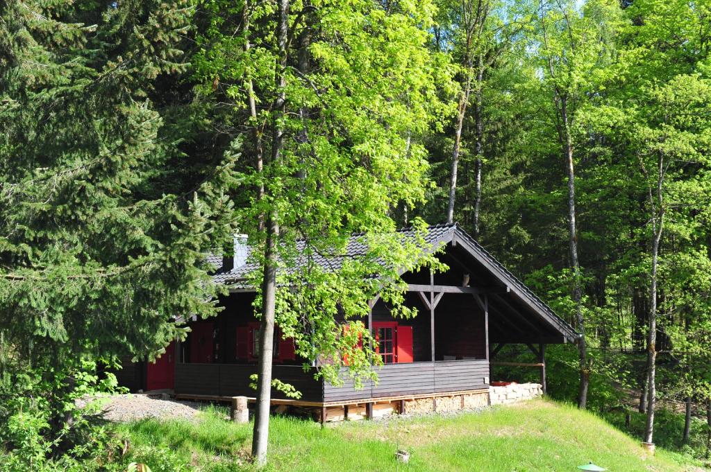 eine kleine Hütte mitten im Wald in der Unterkunft Blockhaus Bodefall in Braunlage