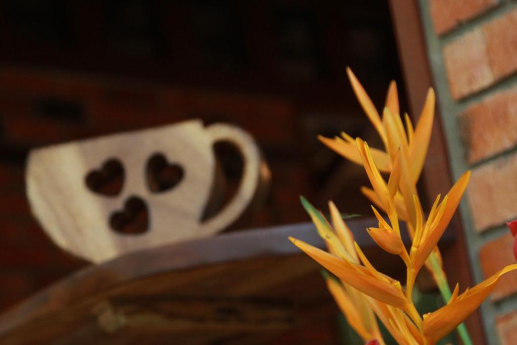 Chestnut Hill Eco Resort Had Yai - Resim 19