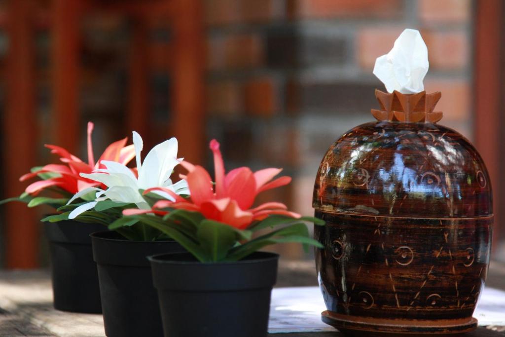 Chestnut Hill Eco Resort Had Yai - Resim 17