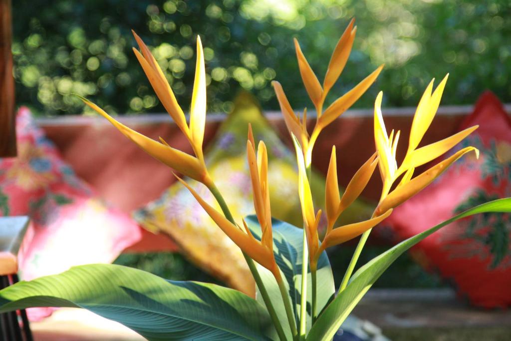 Chestnut Hill Eco Resort Had Yai - Resim 18