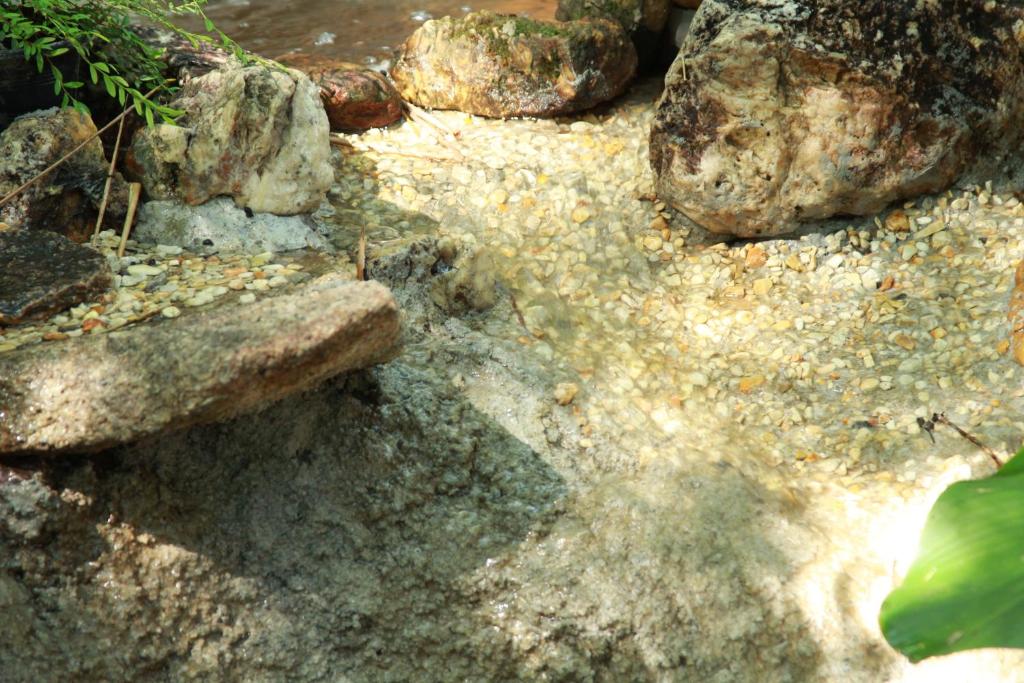 Chestnut Hill Eco Resort Had Yai - Resim 14