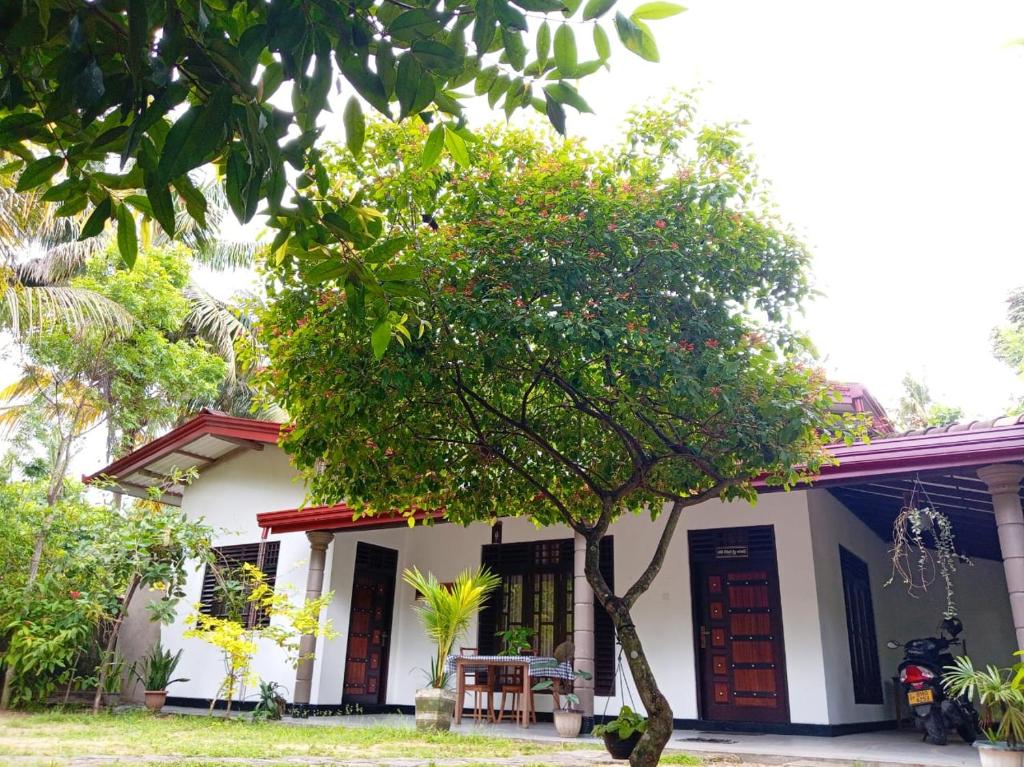a house with a tree in front of it at The Onisula Guest House in Ahangama