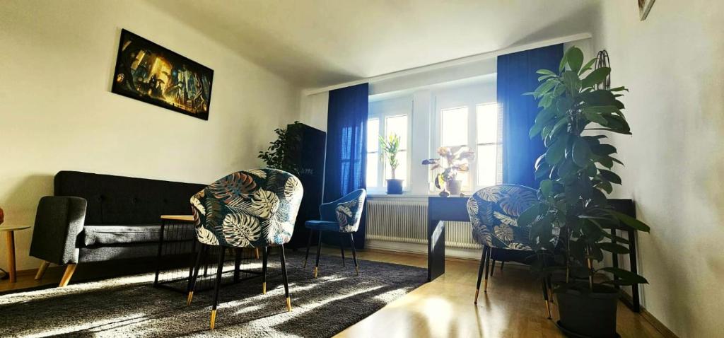クレムス・アン・デア・ドナウにあるOase Krems - Perle der Wachauの椅子とソファと植物のあるリビングルーム
