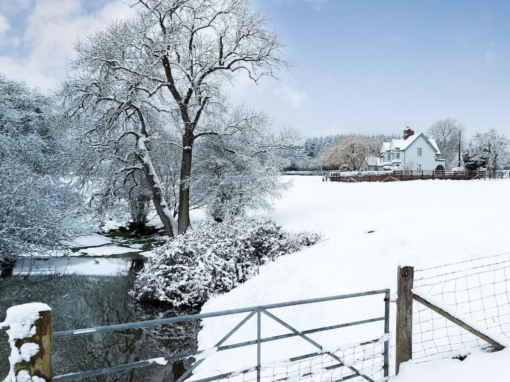 een met sneeuw bedekt veld met een hek en een boom bij Barnleigh in Ludlow