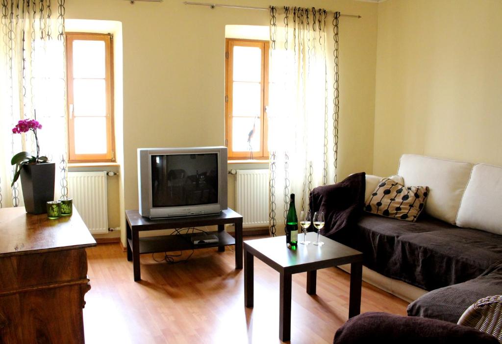 ein Wohnzimmer mit einem Sofa und einem TV in der Unterkunft Weingut Loescher in Senheim