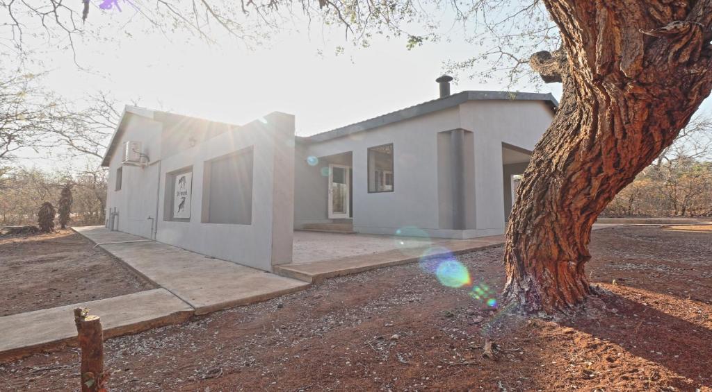 a white house with a tree in front of it at Stripes & Sunsets Marloth Park in Marloth Park