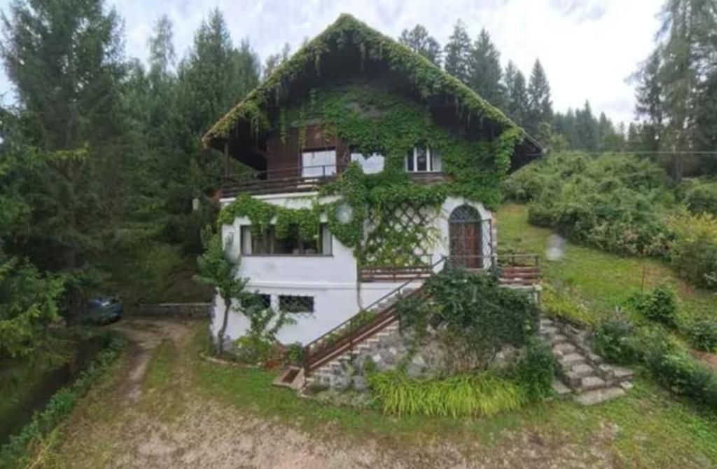 a house with a thatched roof at Villa Virginia Calalzo di Cadore in Calalzo