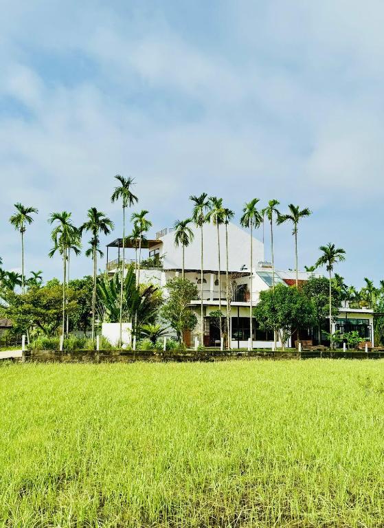 a field of grass in front of a building with palm trees at LÚA de ROSY HOI AN in Hiếu Nhơn
