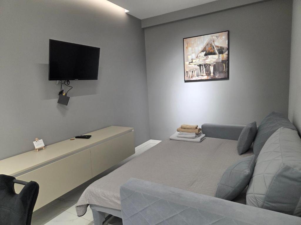 Una sala de estar con un sofá y un televisor de pantalla plana. en Транзит Сервис 3 Аэропорт- Кишинёв, en Chişinău