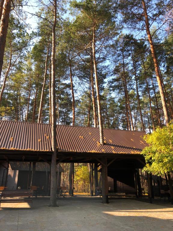 a large wooden pavilion with trees in the background at Готельно-ресторанний комплекс Загадка in Khmelʼnytsʼkyy