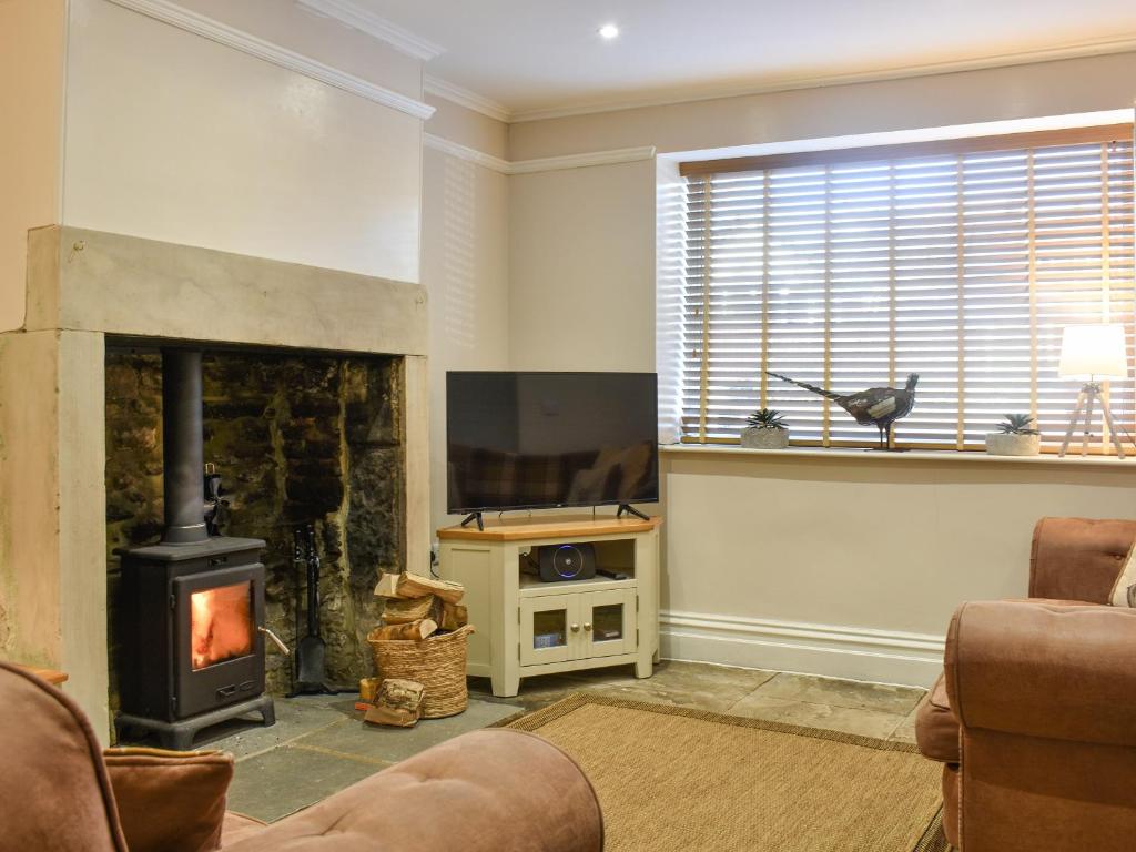 a living room with a fireplace and a television at Meadow View Cottage in Stanhope