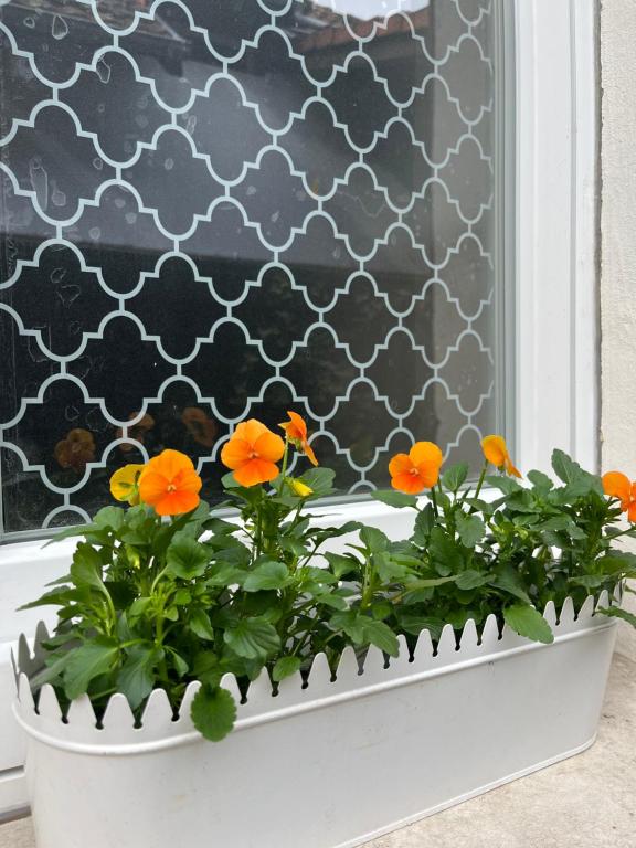 Zahrada ubytování Appartement 70m2 dans Maison privée, avec jardin à 5 arrêts bus du centre ville -Chez Regine