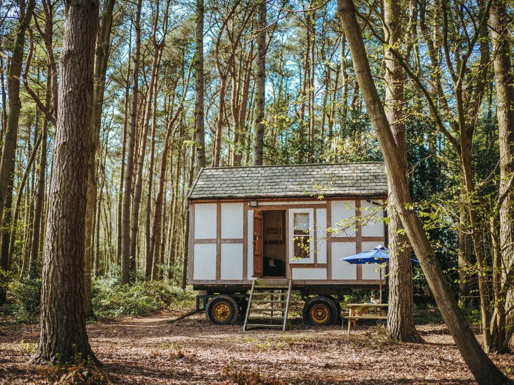 a tiny house in the middle of a forest at Jacobs Folly-Qu7115 in Melton Constable