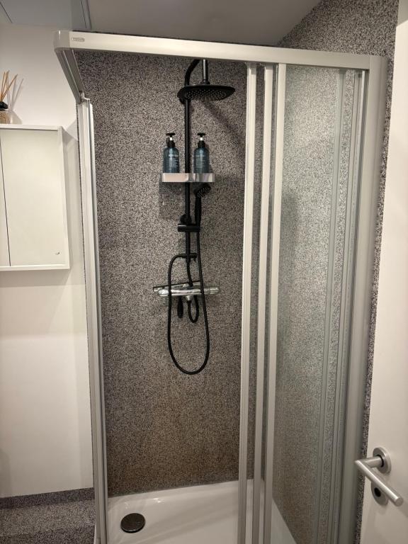 ブラウンシュヴァイクにあるEasyPark City Suiteのバスルーム(ガラス張りのシャワー付)が備わります。