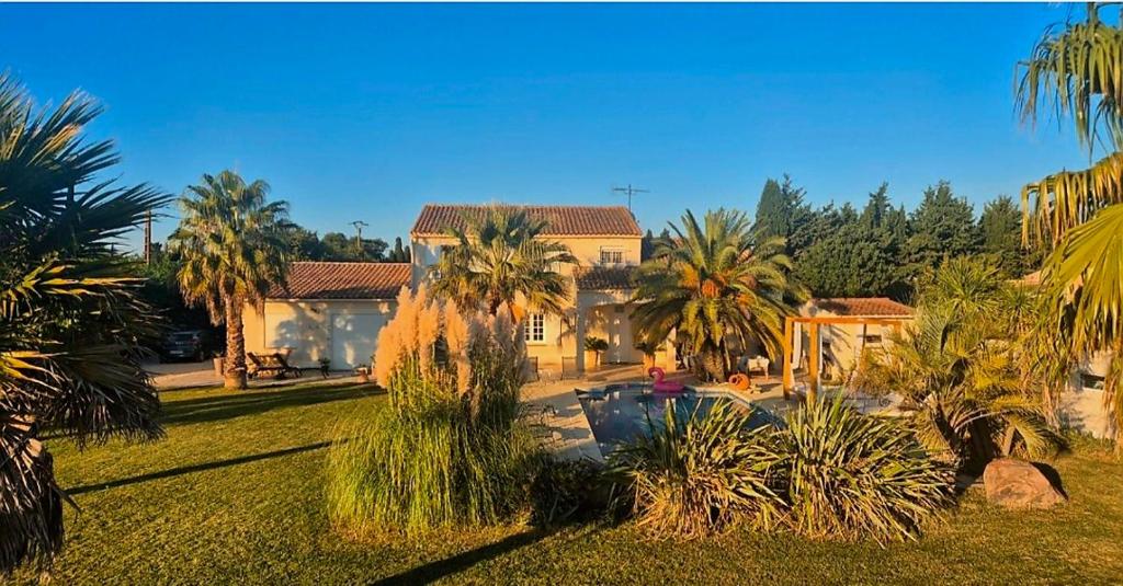 a house with palm trees and a yard with a pool at Le studio du bonheur in Orange