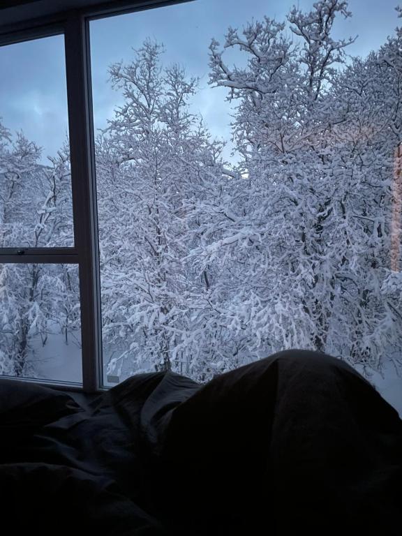 Platinum VIP - Northern light luxury house v zimě