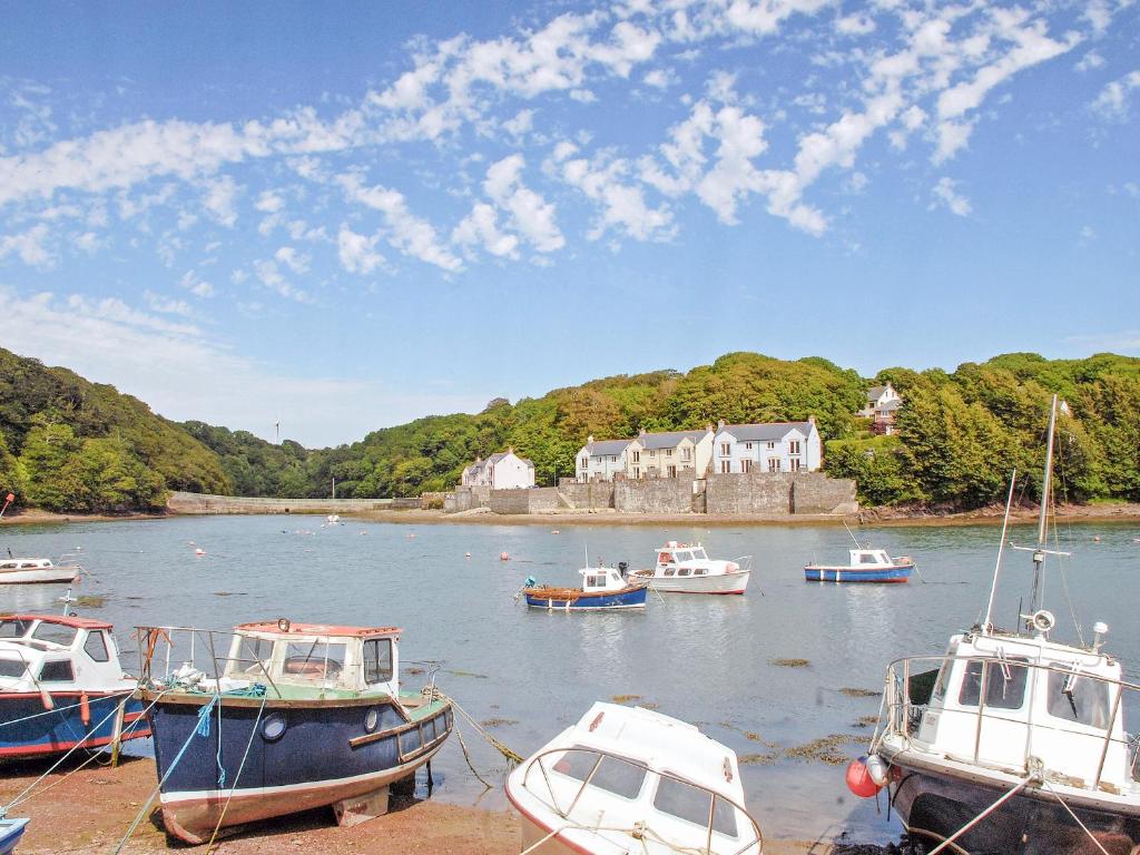 un grupo de barcos atracados en un cuerpo de agua en Kingfisher-Qc1185, en Milford Haven