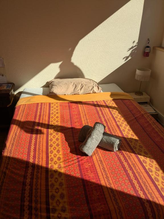 Chambre cozy, vue sur jardin, proche Tram centre ville & aéroport