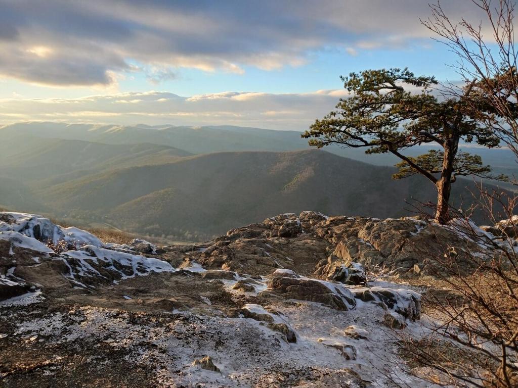 a tree sitting on top of a rocky mountain at Laurel Springs Retreat in Nellysford