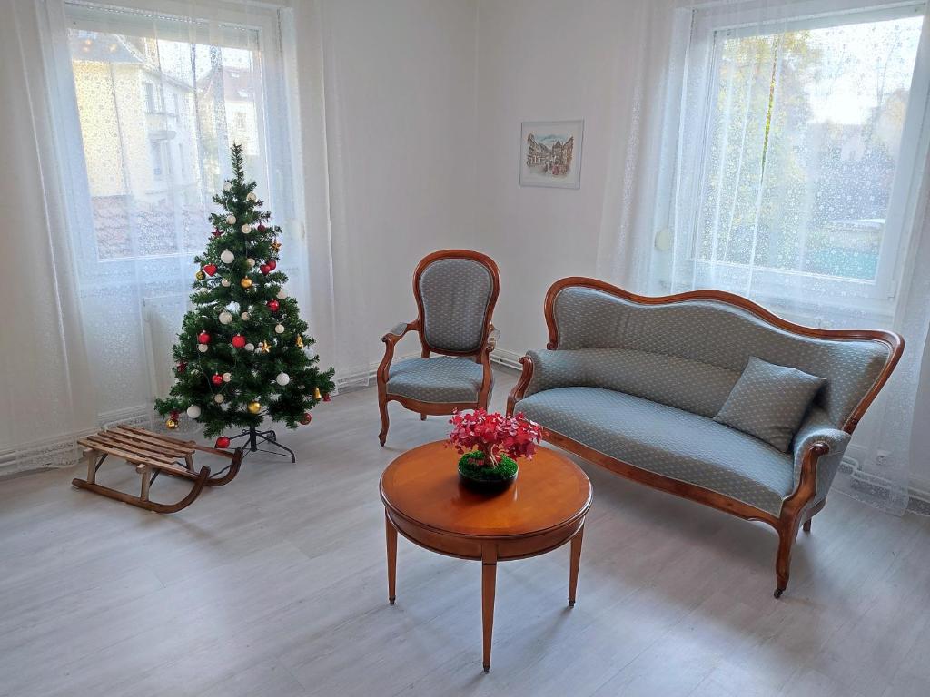 a living room with a christmas tree and a couch at Appart Rama in Colmar
